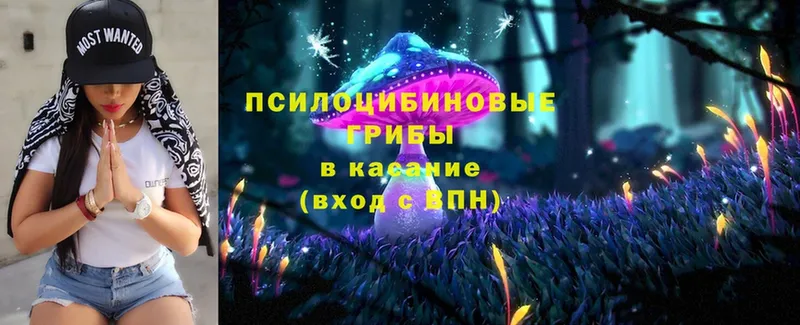 Галлюциногенные грибы Magic Shrooms  Гусь-Хрустальный 